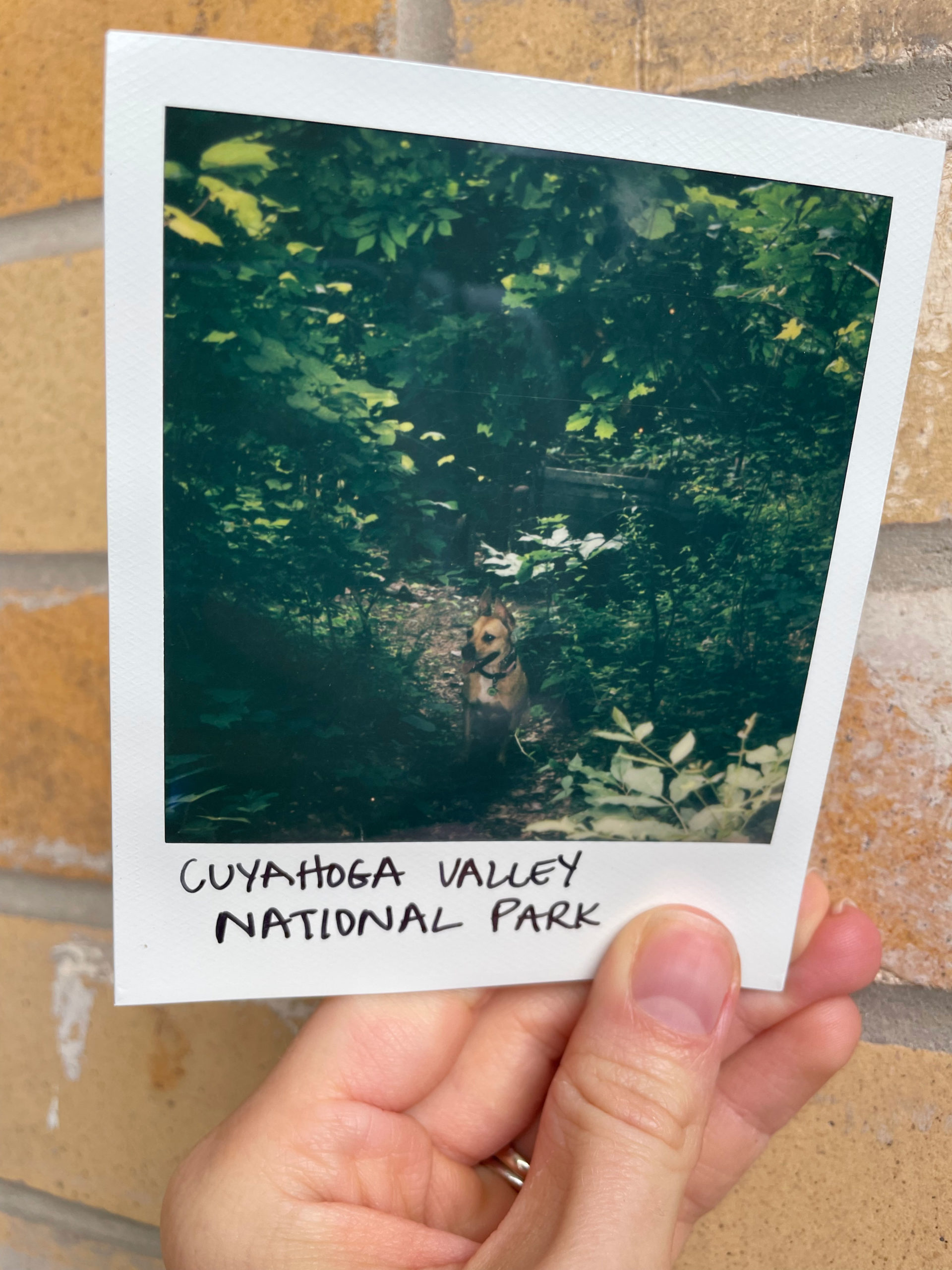 06-CVNP