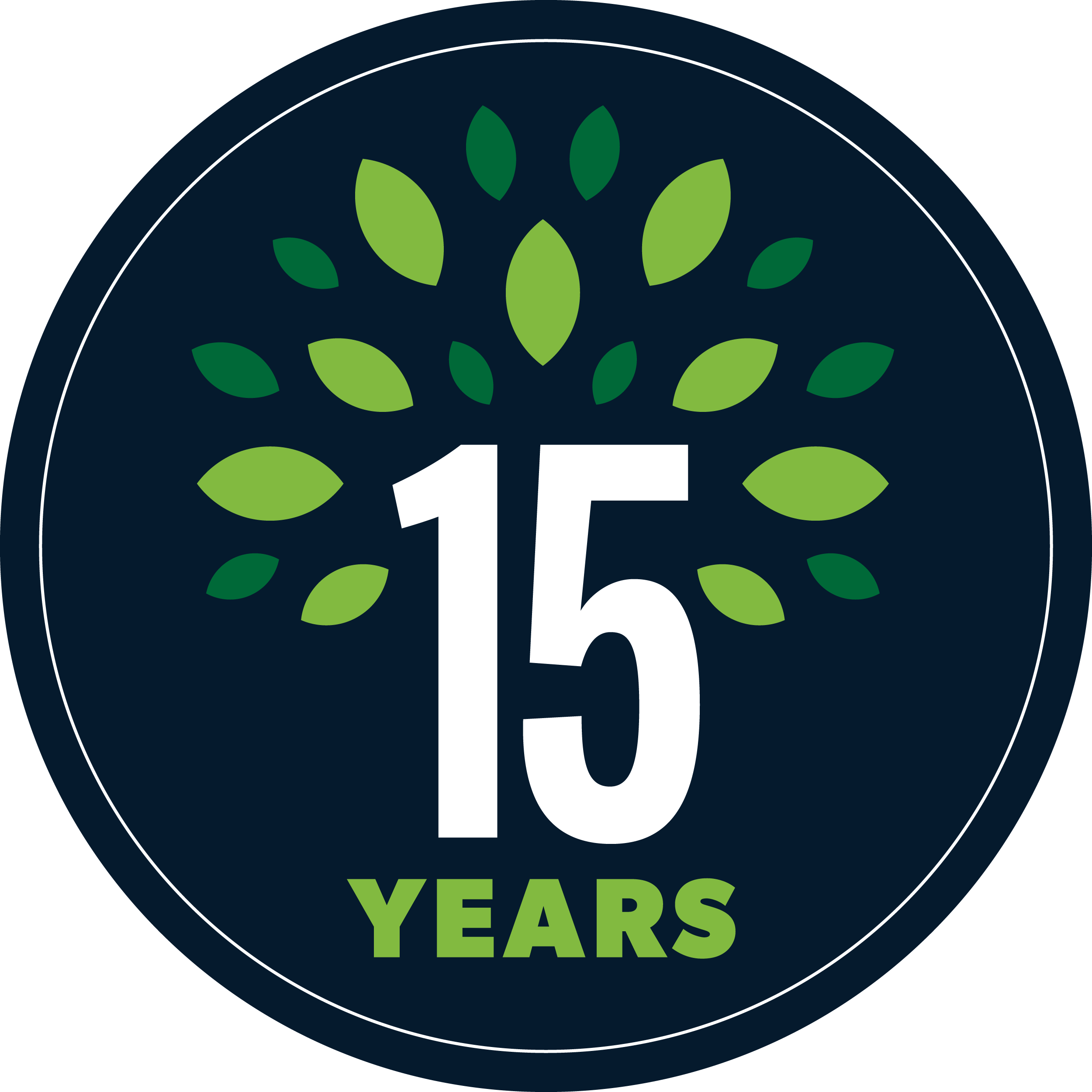 15 Years Badge